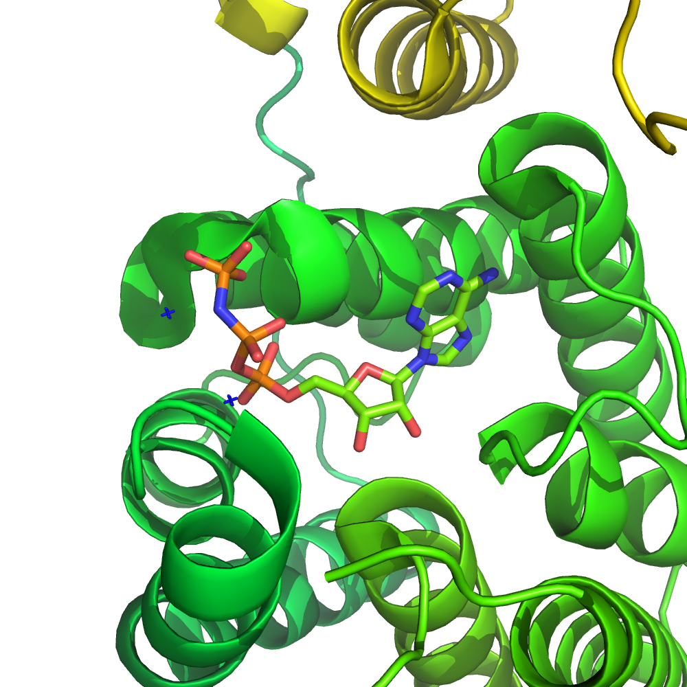 SCI Blog - Report: Kinase 2018