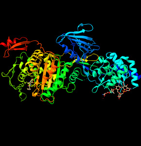 /-/media/event-images/medicinal_listing.ashx?h=300&w=290&hash=0E04FDE42967D7D2F3E64901176D3454