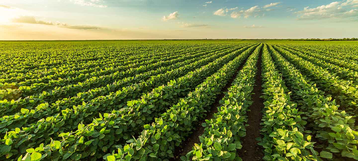 A novel mode of action group to control plant pathogens