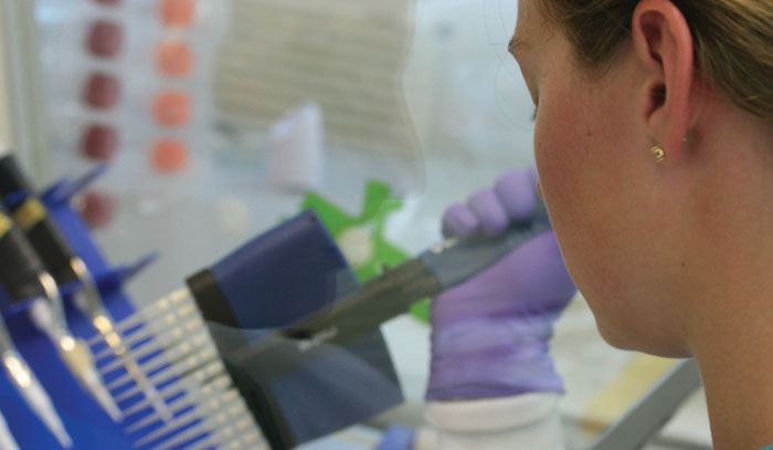 Detailed investigations