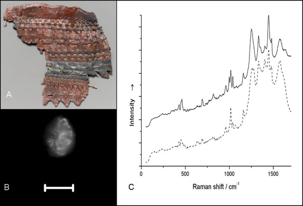 Serrs spectrum