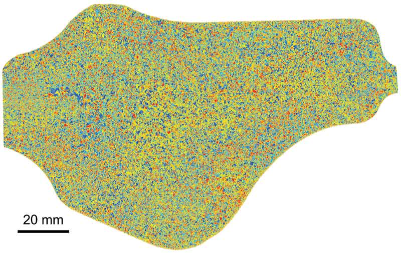 This SRAS scan of a titanium alloy reveals its crystal structure: the colour of each region represents the speed of sound across the surface of a crystal