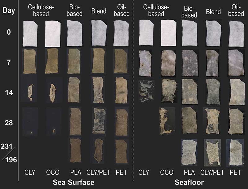 Chart showing different types of materials found in the ocean