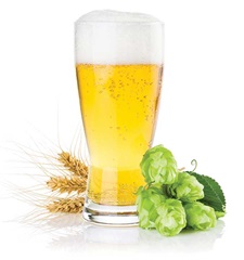A glass of beer with barley and hops