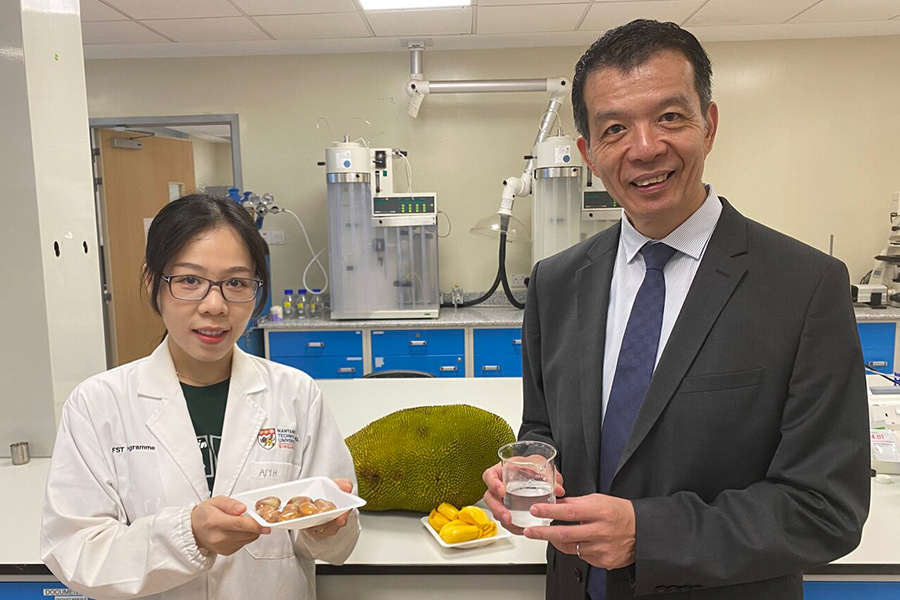 First author of the study, Ms Tram Anh Ngoc Le, a PhD student from the Food Science and Technology (FST) programme at NTU, and NTU Professor William Chen, Director of the Food Science and Technology, presenting jackfruit seeds and the lactic acid produced from the seeds.