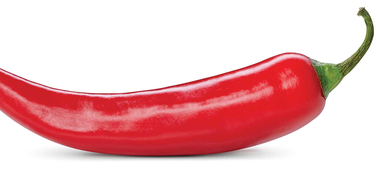 How silver nanoparticles could protect chilli plants from disease