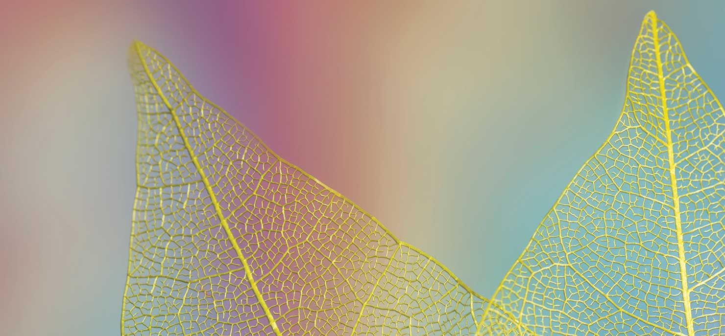 Abstract leaf