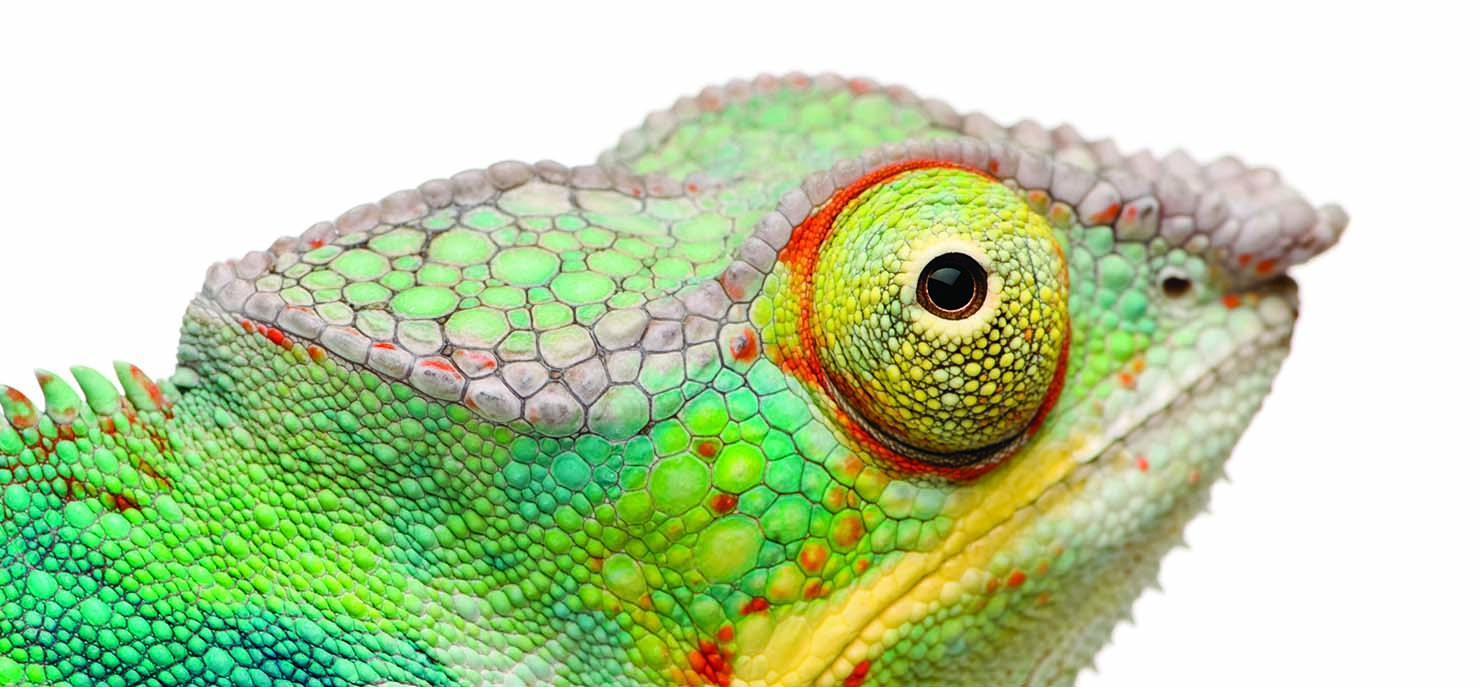 Taking inspiration from nature to create nanostructural colour