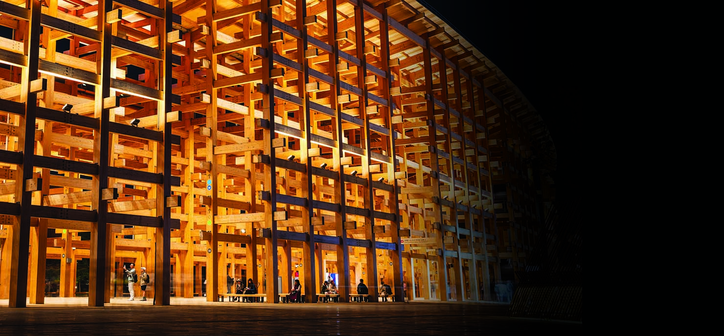 Why wood could be the next wonder material, thanks to science 