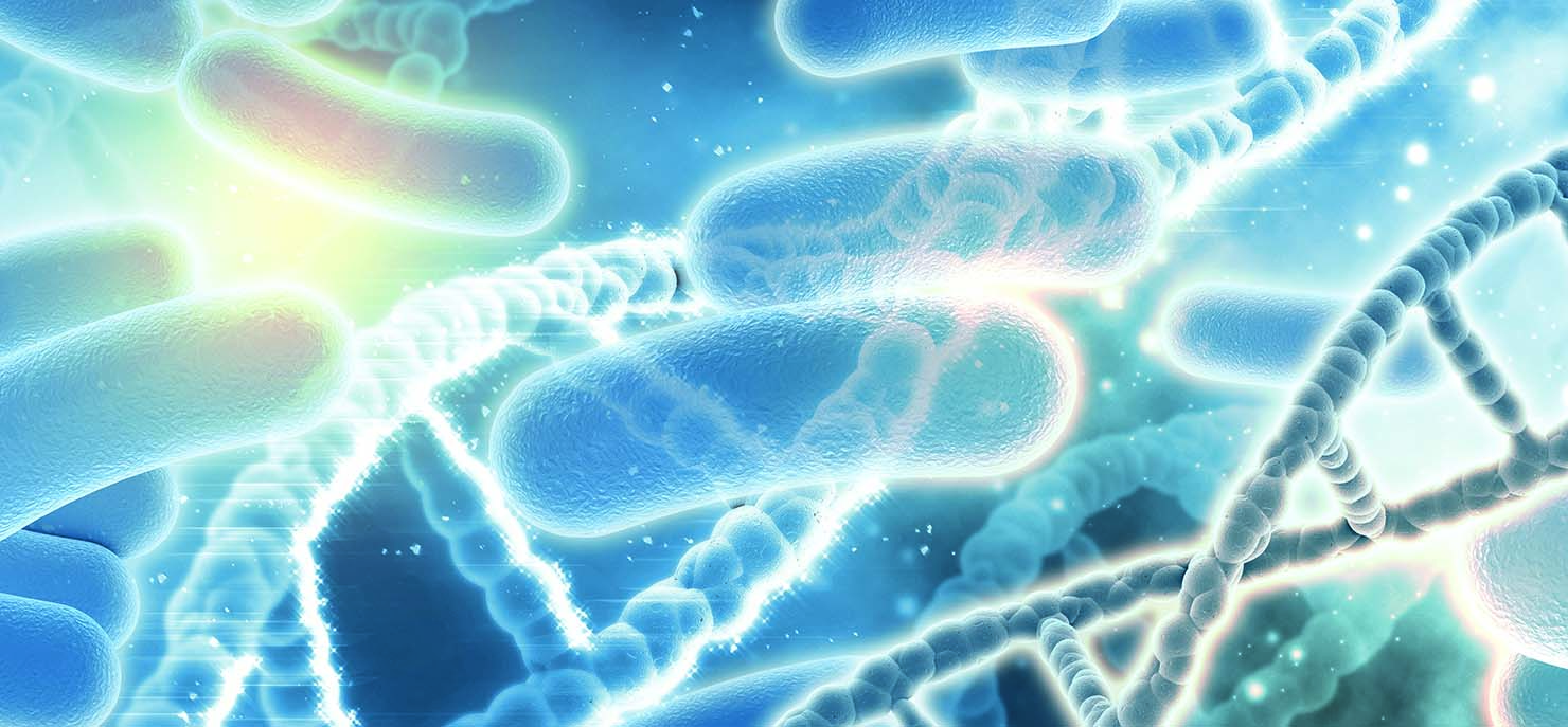 /-/media/images/cni/issue-image/2026/01/dna-bacterias.ashx?h=687&w=1480&hash=FEB29A08CD3E5D920B21B9CFAADC547D