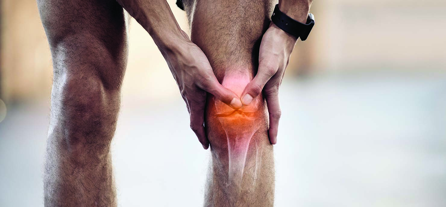 Osteoarthritis: Fighting pain with pain neurons
