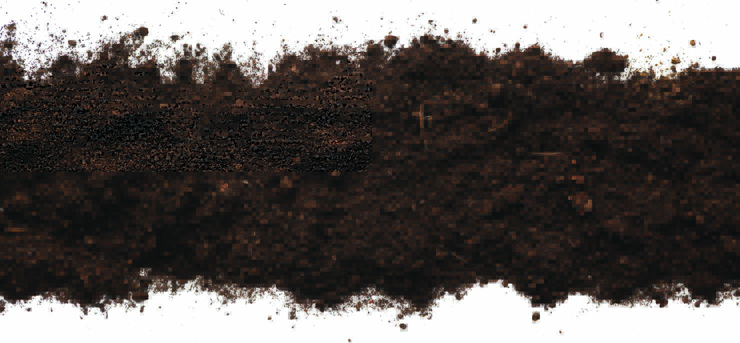 Soil may be key to childhood allergies