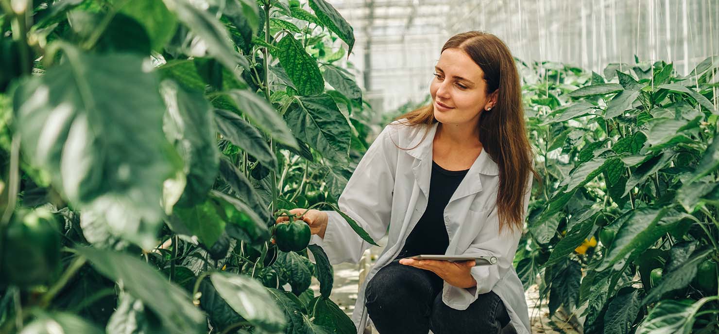 The future of agri-food skills