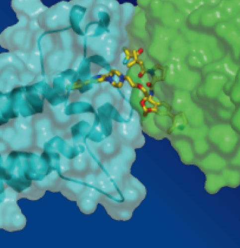 /-/media/images/events/2025/23rd-medchem-symposium_listing.ashx?h=500&w=483&hash=7EC3888A230A8A0EA498095861E9701D