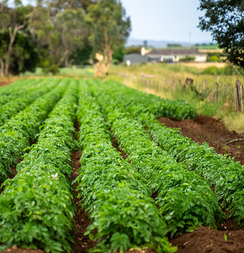 /-/media/images/events/2025/regenerative-agriculture_listing.ashx?h=500&w=483&hash=802197032BD326372129DDCC3E179F32