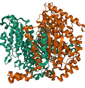 /-/media/images/events/2026/protein-protein_listing.ashx?h=300&w=290&hash=6368DDBCE3666CF32CBEB29357D6190B