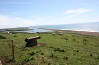 Abbotsbury Subtropical Gardens 