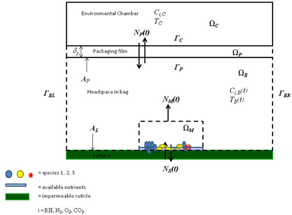 Figure 1: Macroscale model for simulation