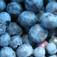 blueberries