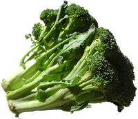 broccoli