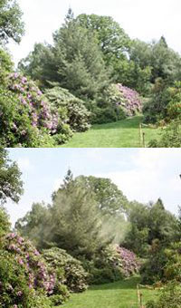Harcourt Arboretum - photo by Peter Grimbly 