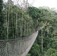 Kakum Bridge by Chiappinik