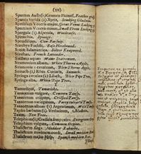 taxus catalogue  Oxford Botanic Garden 