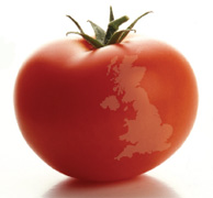 tomato