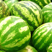 watermelons
