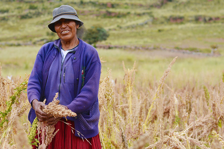 Female quinoa farmer in Peru