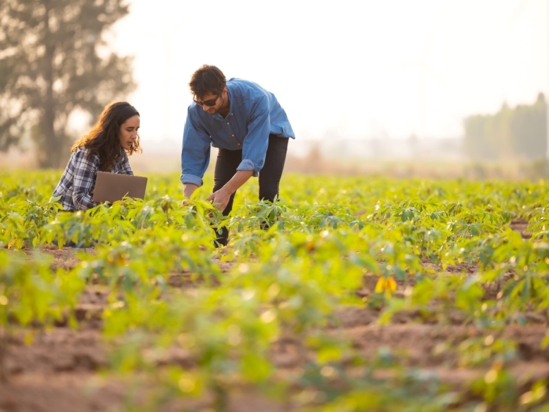 smart farming