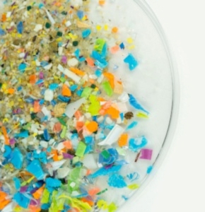 /-/media/images/news/2025/1/microplastics3.ashx?h=300&w=290&hash=BFD9890B80402205458B9AC7E480A92F