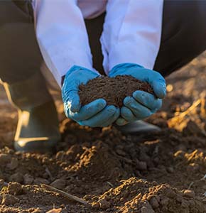 /-/media/images/news/2025/10/farmer-holding-soil-in-gloved-hands-listing.ashx?h=300&w=290&hash=84B675E50038252F8056D1FE5894A30F