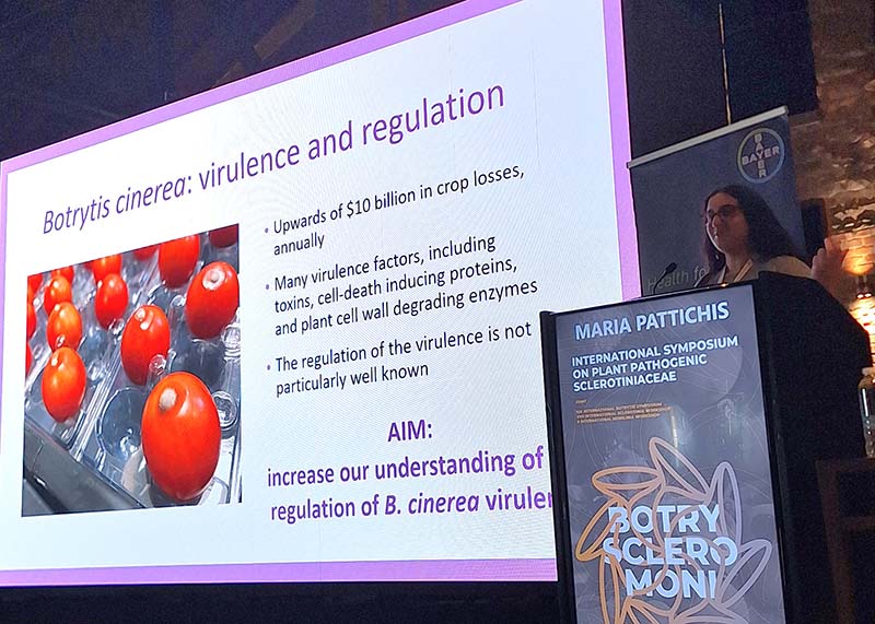 Maria Pattichis presenting at conference