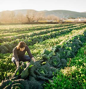 /-/media/images/news/2025/8/regenerative_listing.ashx?h=300&w=290&hash=2CE8D43328B80495D6FC89251CFC7F58