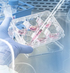 /-/media/images/news/2026/1/medicalresearchers_listing.ashx?h=300&w=290&hash=6BA68754A77AB3712AC65C109EDDB796