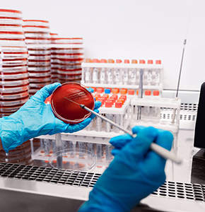 /-/media/images/news/2026/3/amr_listing.ashx?h=300&w=290&hash=B295C3539F56EBE017F7CF480C3D1958