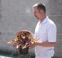 Brian Ellis photo by Peter Grimbly 