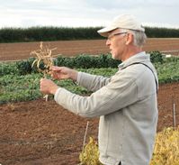 Prof Eric Holub and navy beans